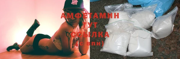 круглые Аркадак