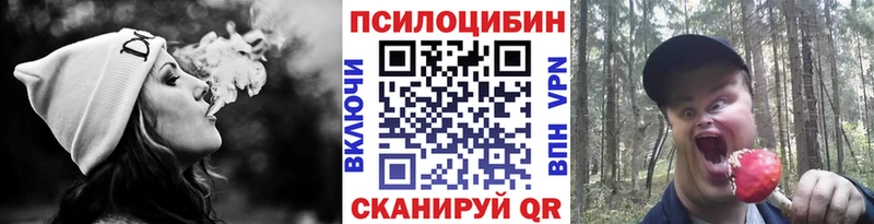 где можно купить Новый Оскол Галлюциногенные грибы Cubensis